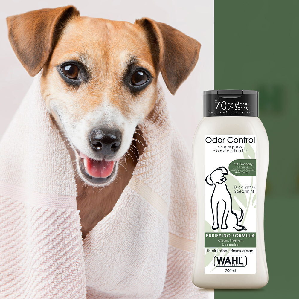 Wahl odor control dog shampoo sale